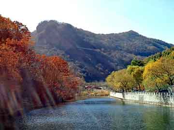 管家婆黑白马报图库，苗山火灸贴